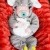 A Growing Family | Grix_Halloween_2013-30.jpg