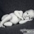 This Little Man Couldn’t Wait! | Macomb County Newborn Photography | 1548159_679824868707493_1920941023_o.jpg