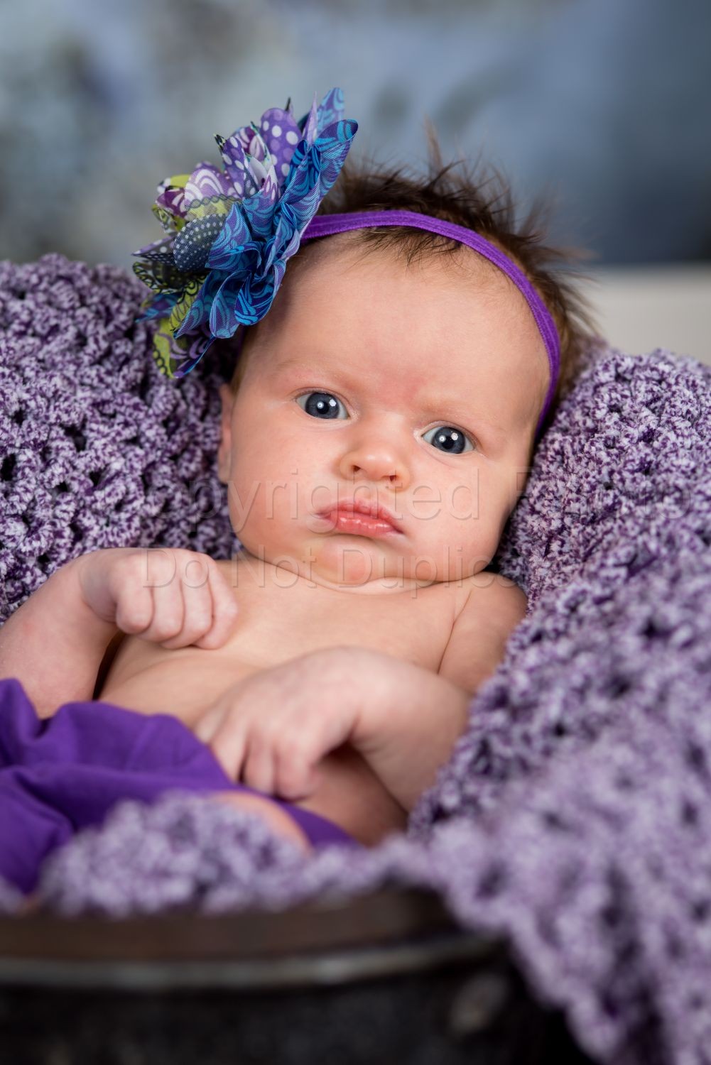 Baby Paisley 