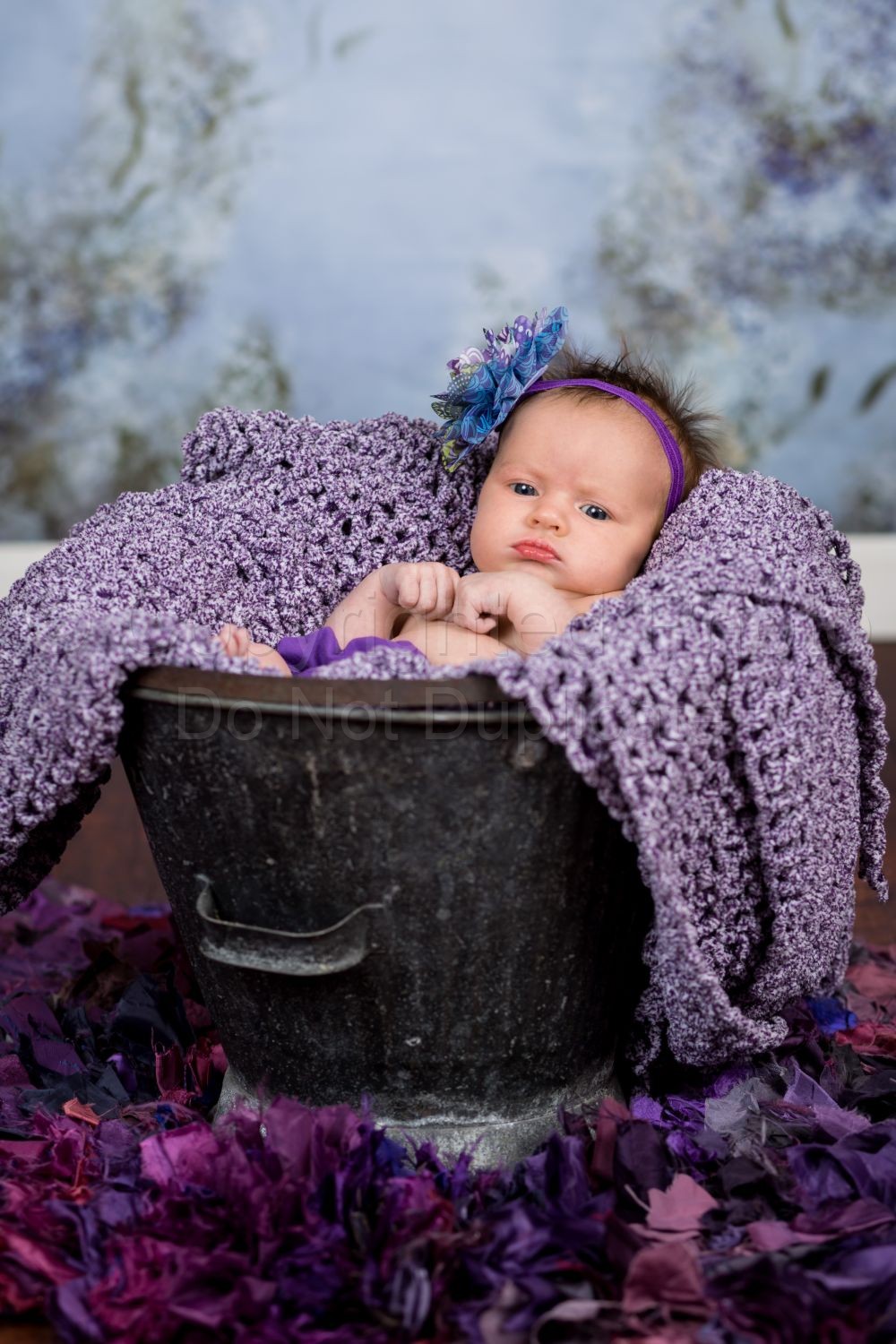 Baby Paisley 