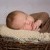 Bernhardt Newborn