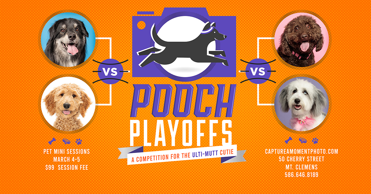 Pooch Playoffs 2023 Going on NOW 2023 Pooch Playoffs!